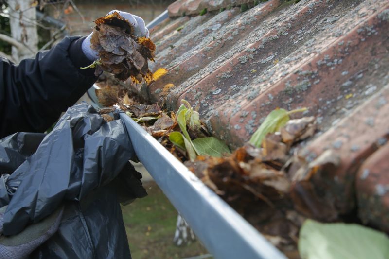 Post-Winter Gutter Cleaning